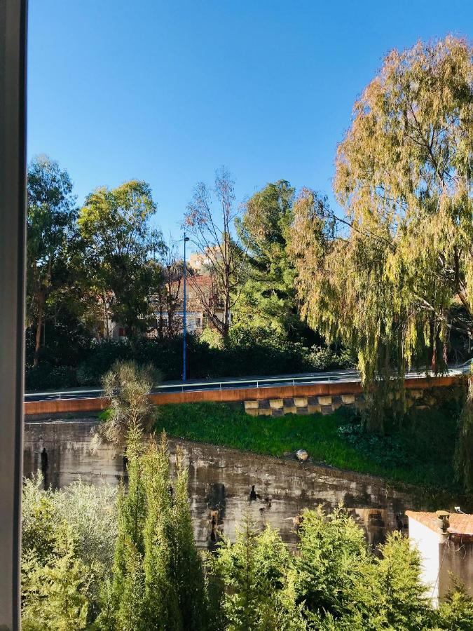 Appartement Paloma Proche Cannes Le Cannet Buitenkant foto
